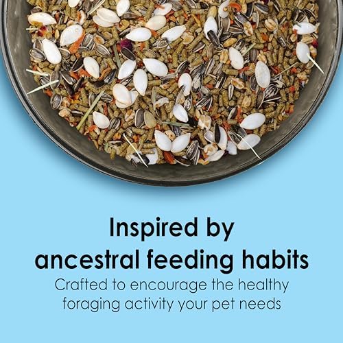Kaytee Food From The Wild hamster food natural ingredients display