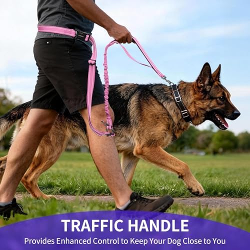 Kazazoo multifunctional training leash laid flat illustrating the full extended length.