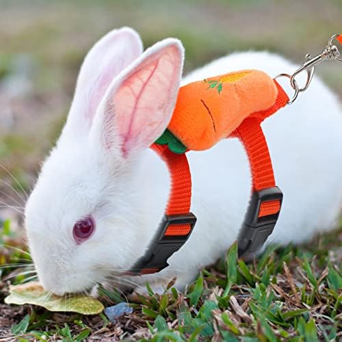 Matching leash and harness set laid out showing the buckle closure mechanism