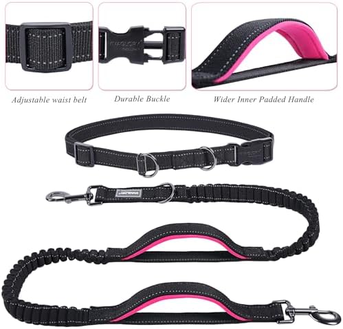 Reflective stitching detail on Vivaglory dog jogging leash