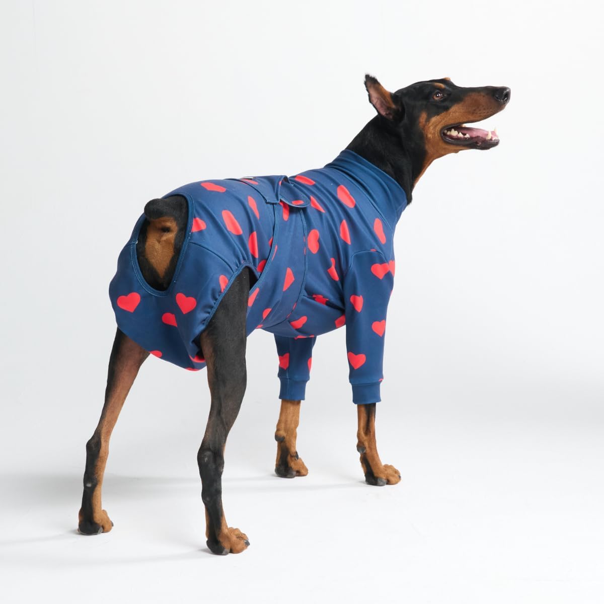 Spark Paws Dog Surgery Recovery Suit - Dog Recovery Suit After Surgery, Anti-Lick Dog Onesie, Abdominal Wound Protector, Soft Cone Alternative for Spay Neuter Male Female Pet Recovery - Dinosaurs, 3XL - Image 15