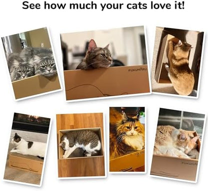 Spacious cardboard cat furniture alternative safely placed on living room floor to protect household sofas from claw marks.