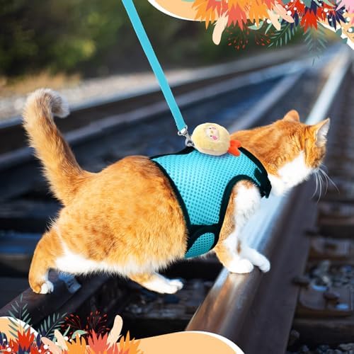 Bunnycool light blue harness set for outdoor pet walking
