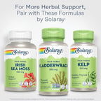 Solaray Bladderwrack bottle displayed next to fresh sea kelp leaves for natural product context.