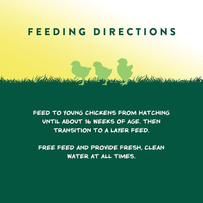 Healthy chicks with Manna Pro medicated feed in feeder