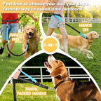 Authentic USA imported Laqibak bungee dog leash packaging and components layout.