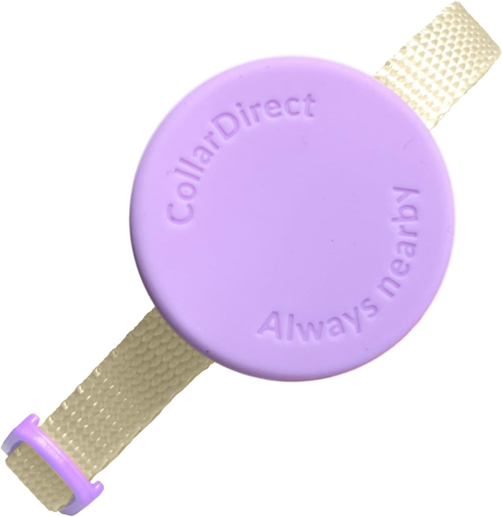 CollarDirect stylish pet accessories set packaged for everyday wear
