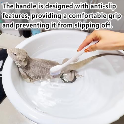 Delllala 6-piece gecko habitat cleaning kit showing comfortable ergonomic handles on the scrubbing tools.
