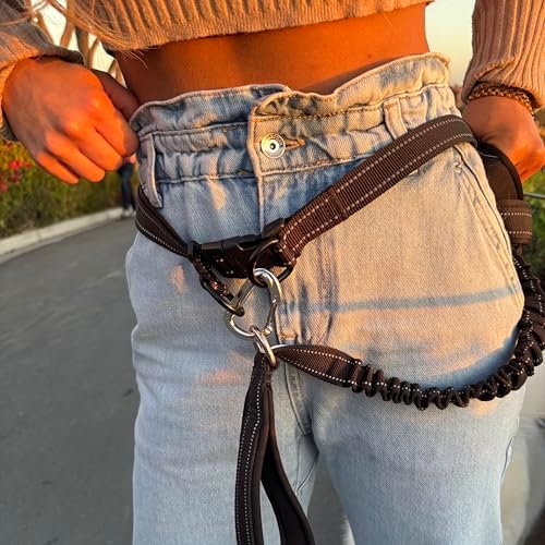 Close up of Shed Defender leash belt reflective stitching detail