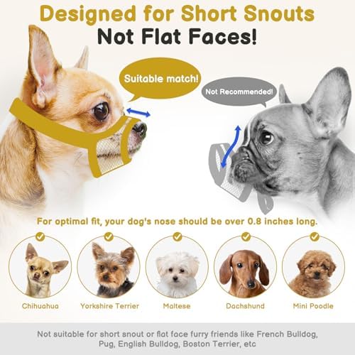 Small dog wearing Mayerzon soft mesh muzzle for grooming