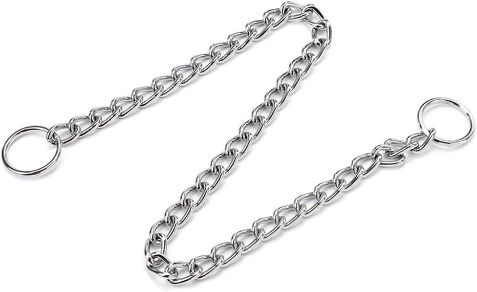 Premium metal slip collar for large dogs during outdoor walking sessions.