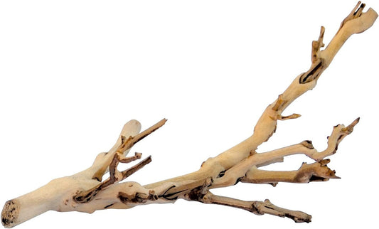Exo Terra Forest Branch Small natural wood terrarium climbing decor