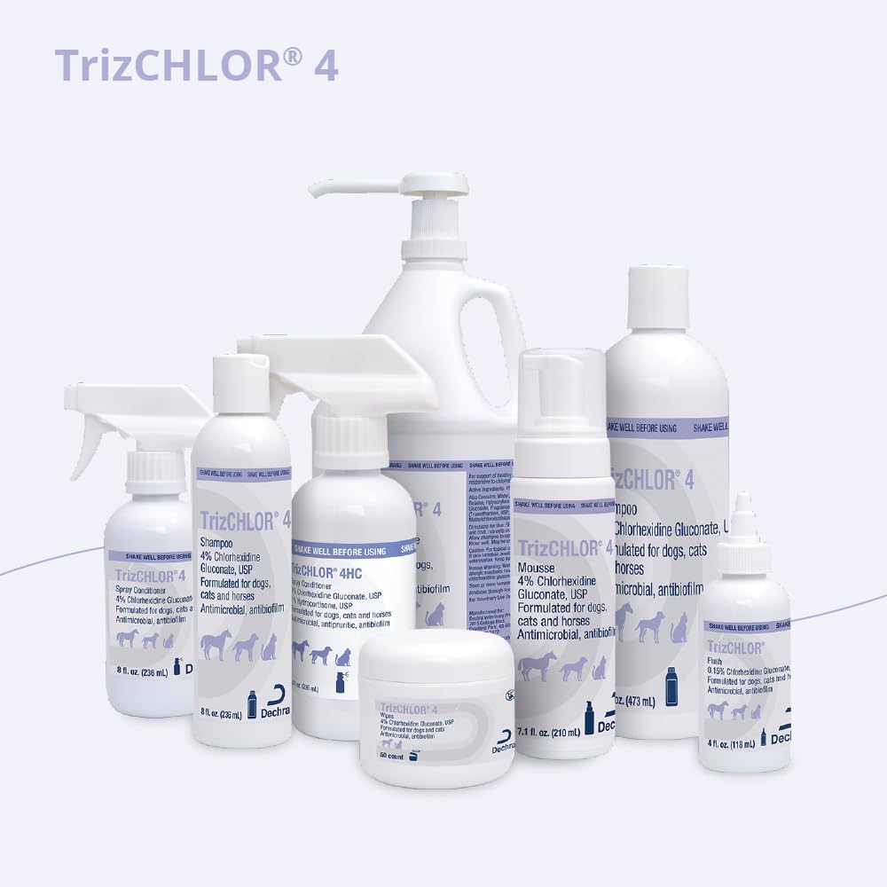 Close up of TrizCHLOR 4 Mousse pump dispenser