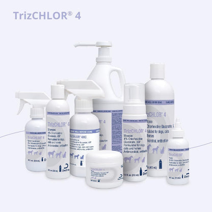 Close up of TrizCHLOR 4 Mousse pump dispenser
