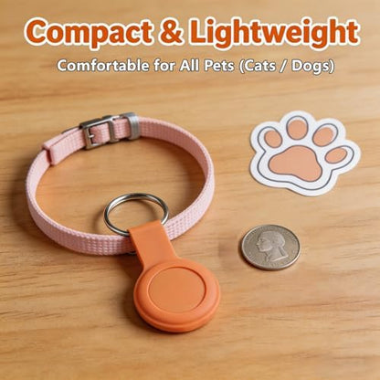 Wnrfg Bluetooth pet locator showing route playback functionality for cats