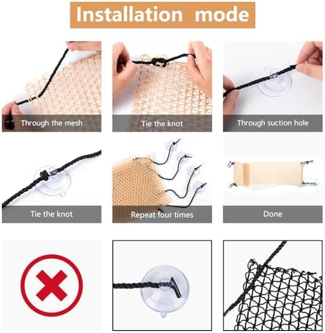 Demonstration of suction cup installation for reptile hammock