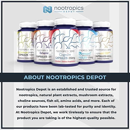 Authentic imported Nootropics Depot choline precursor capsules bottle isolated on white background