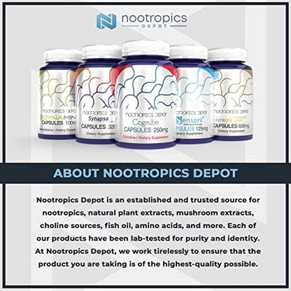 Authentic imported Nootropics Depot choline precursor capsules bottle isolated on white background