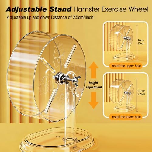 Transparent dwarf hamster running wheel with etched graphic decorations.
