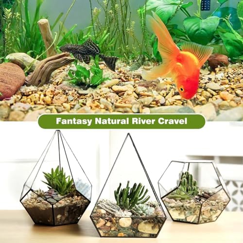 Wdefun gravel used in a small plant terrarium