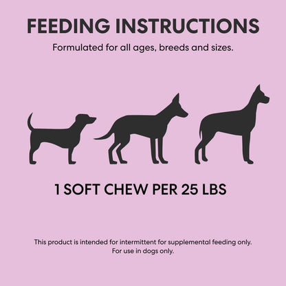 The Pets Table, Bundle of Chicken & Sweet Potato Air-Dried Dog Food, 48-Ounce Bag + Probiotic Soft Chews Duck Flavored Gut Health Supplement for Dogs, 60 Chews (Pack of 2) - Image 10