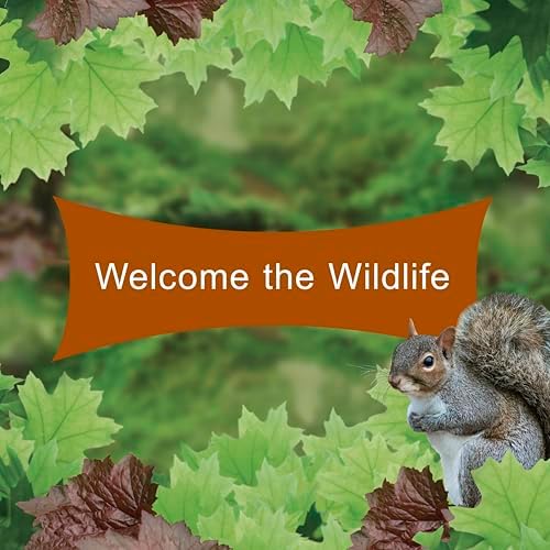 Outdoor backyard wildlife feeding station setup with seed cake