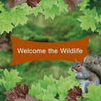 Outdoor backyard wildlife feeding station setup with seed cake