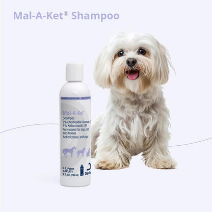 Clinical strength Mal-A-Ket shampoo for pet dermatology