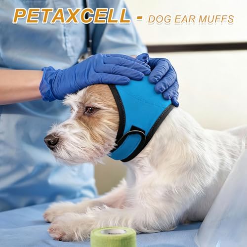 Petaxcell light green dog head wrap for thunderstorm anxiety