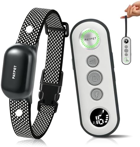 Patpet waterproof dog training collar on a dog