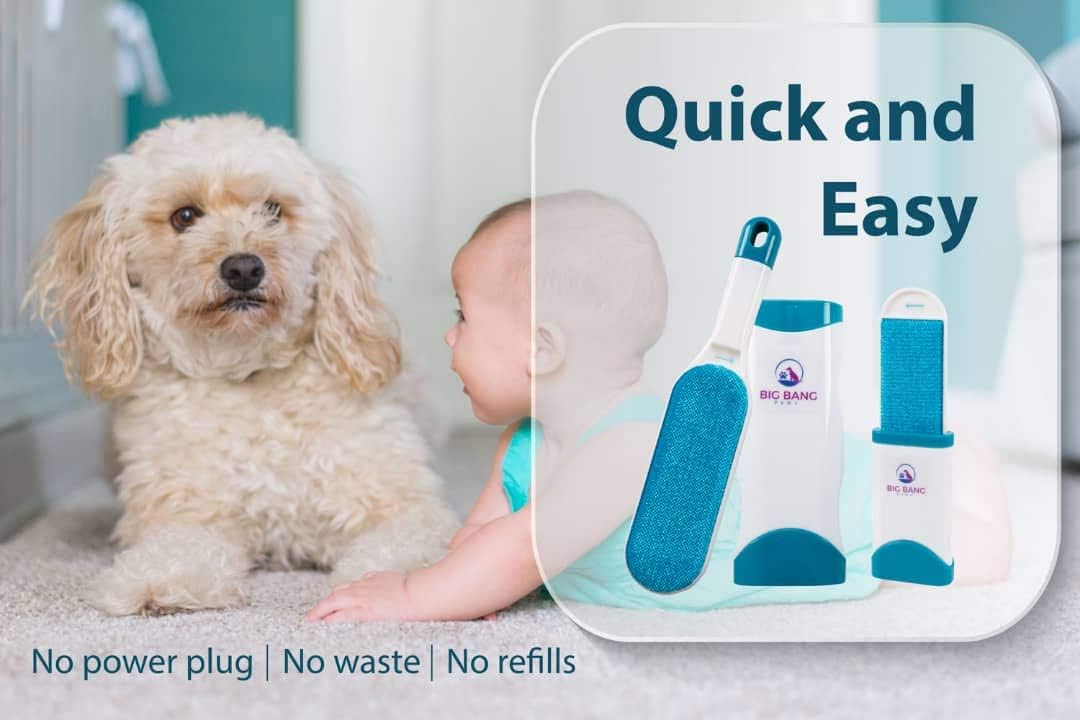 Pet Hair Remover Brush - Dog Hair Remover for Clothes - lint Brush pet Hair Remover - Reusable Fur Remover for Furniture and Clothing - Light pet Dander Remover with self Cleaning Base - Image 9