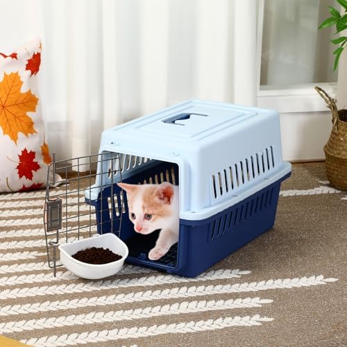 Top handle view of the Maxdot plastic pet crate showing ergonomic design for transport