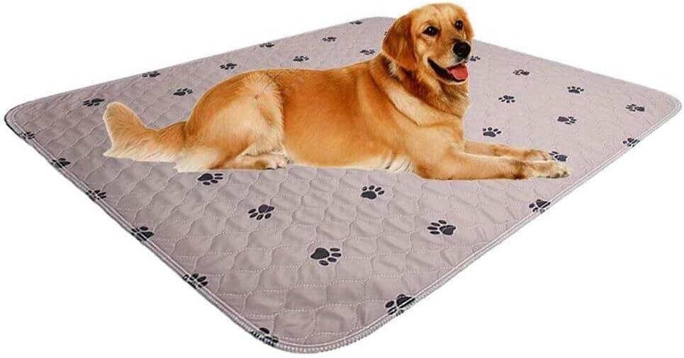 Puppy sitting on SincoPet reusable training mat