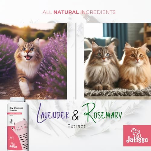 Applying Jatisse cat dry shampoo powder to cat coat for odor removal