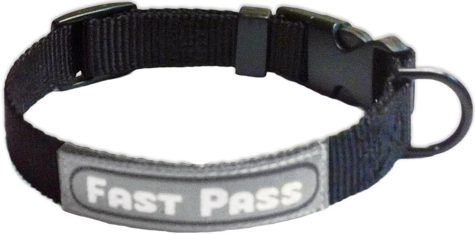 TSA compliant metal free leash for small dogs and cats