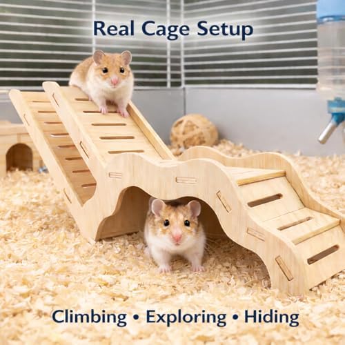 Large Size Syrian Hamster Explorer Set - Snap-Together Wooden Burrow with Panoramic Window,Natural Chew-Safe Design Decorative Landscaping Digging Peeping Hide Underground Fun for Cage Enrichment - Image 4