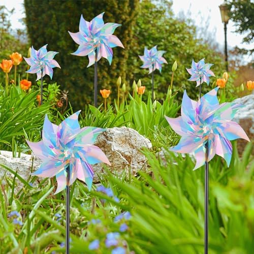Transparent rainbow holographic pinwheel spinning in a garden