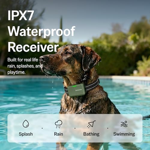 SafeShock latest version remote dog trainer complete kit components