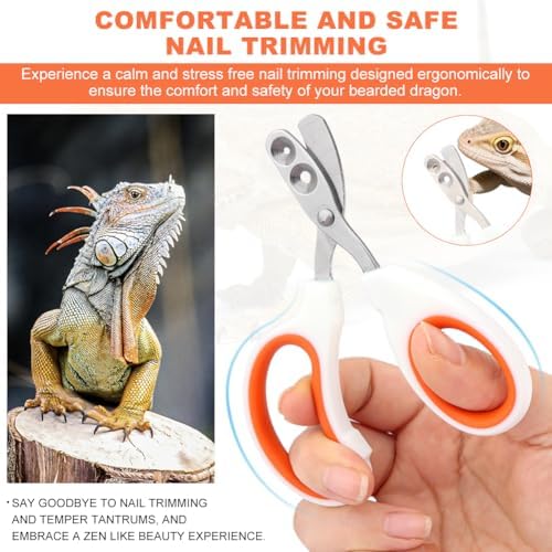 Ranjaner reptile claw clippers for bearded dragons chameleons and birds
