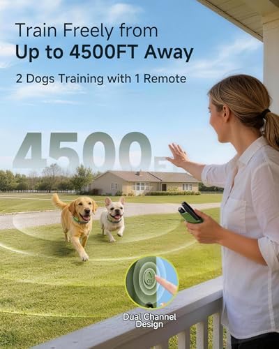 HapTop electronic pet trainer forty-five hundred feet long range remote overview