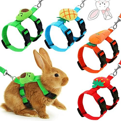 Small pet fruit themed vest harness for guinea pigs