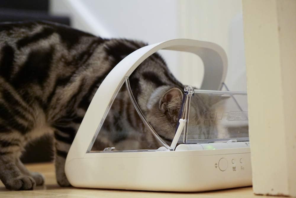Microchip activated pet feeder showing RFID collar tag compatibility and sealed lid design
