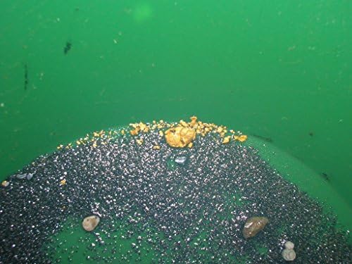 Unsearched Colorado Gold Paydirt Bag Panning Material Closeup