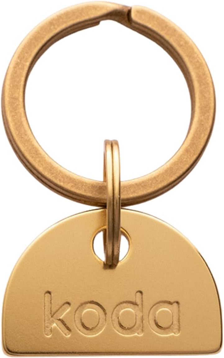Solid Brass PET TAG - Modern, Minimal Pet IDs. Durable, Lifetime Tags with deep Cut Text. Includes Space for Two Phone Numbers. (Circle) - Image 14