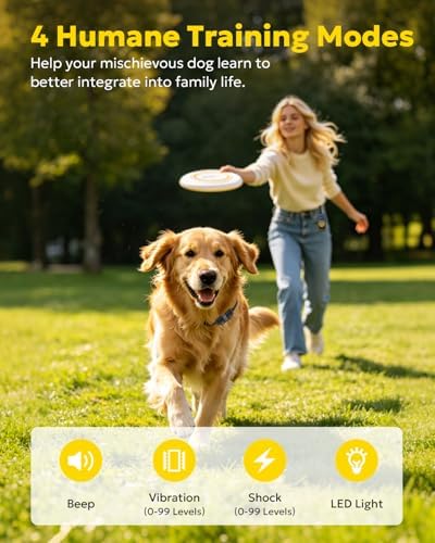 Heaflex waterproof rechargeable collar receiver close up