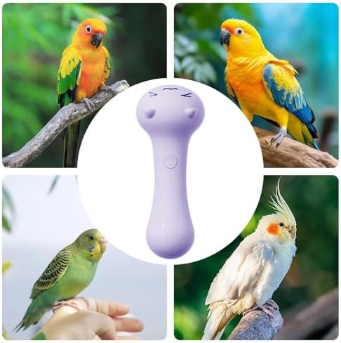 Electric bird nail grinder showing the different grinding heads for daily care