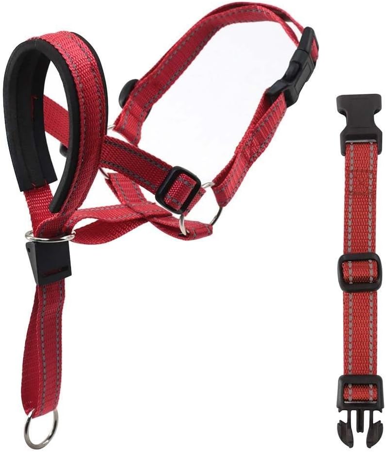 Barkless dog muzzle leash laid flat showing the full adjustable strap structure and buckle