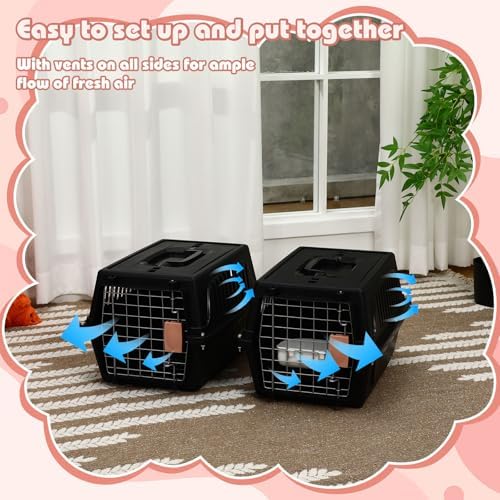 Locmeo small animal travel crate interior setup