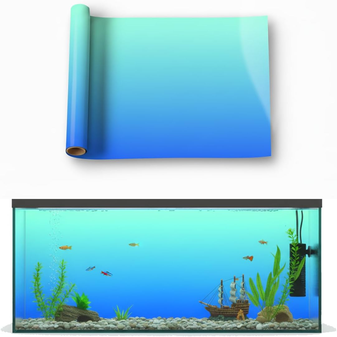 Premium imported gradient backdrop showing vivid underwater color contrast