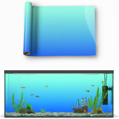 Premium imported gradient backdrop showing vivid underwater color contrast